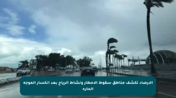 الأرصاد تكشف مناطق سقوط الأمطار ونشاط الرياح بعد انكسار الموجة الحارة